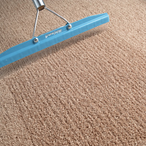 Carpet Grooming