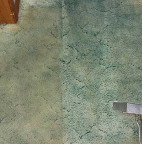 Rug Cleaning Services