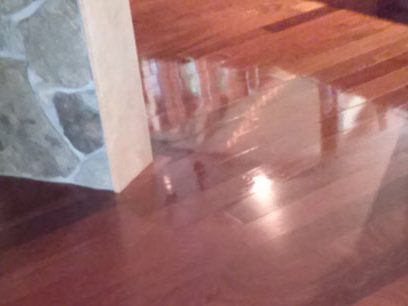 Maintaining Wood Floors