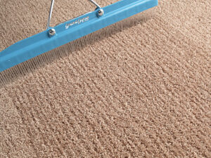Carpet Grooming