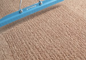 Carpet Grooming