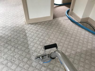 Carpet Cleaning Services