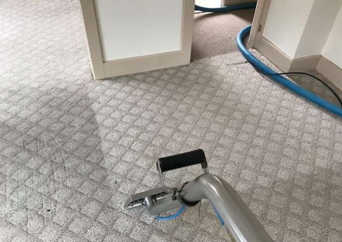 Carpet Cleaning Services