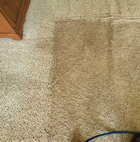 Cream Carpet Cleaning