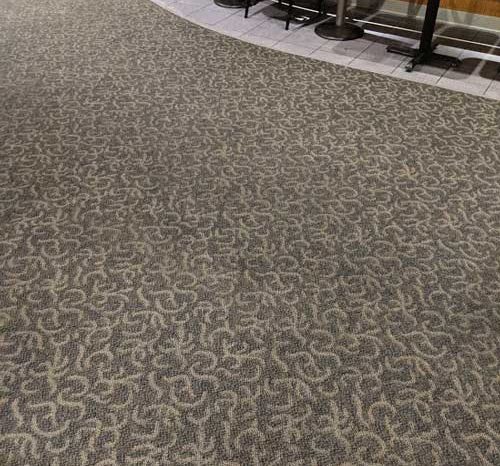 Dark Carpet Cleaning After