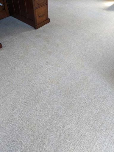 Grey Carpet After Picture