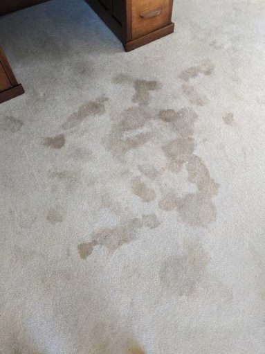 Grey Carpet Before Picture