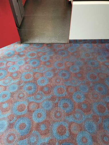 Carpet After Picture