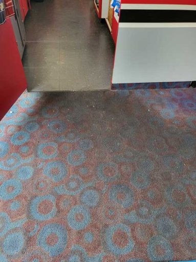 Carpet Before Picture