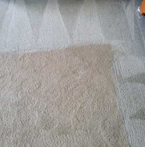 Tan Carpet Cleaning